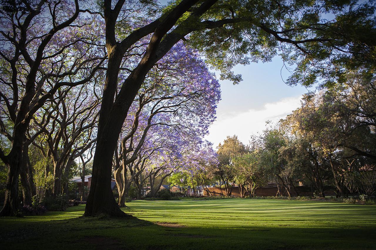 Hotel Pierneef'S Kraal Pretoria-Noord Esterno foto